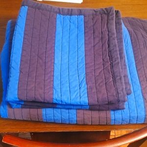 Pottery Barn Teen Blue Stripe Quilt Set